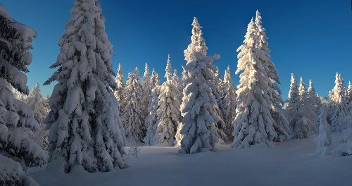 Зимние пики