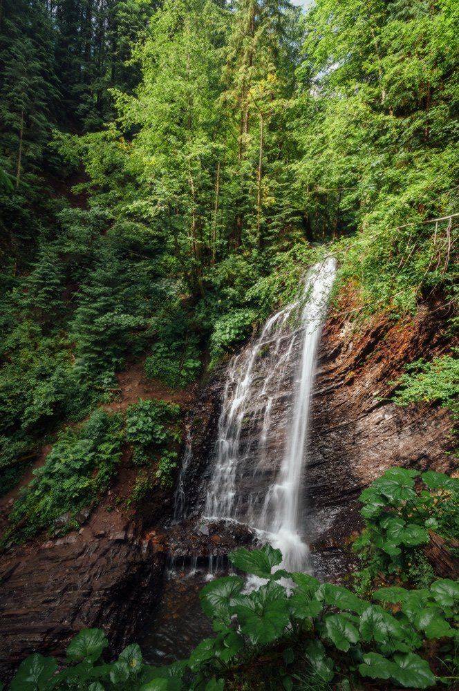 , Ярослав Тюрменко (Jaremi)