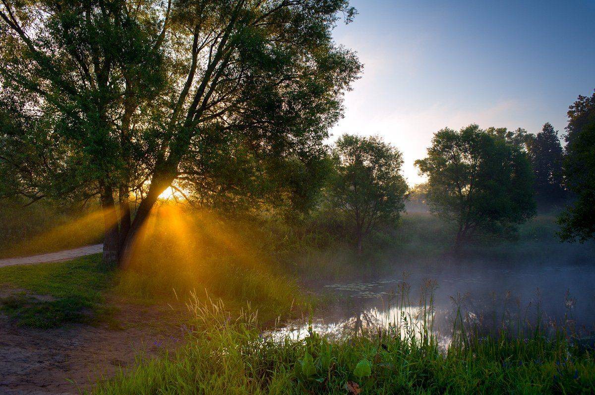 , Nikonzoom  (Павел)