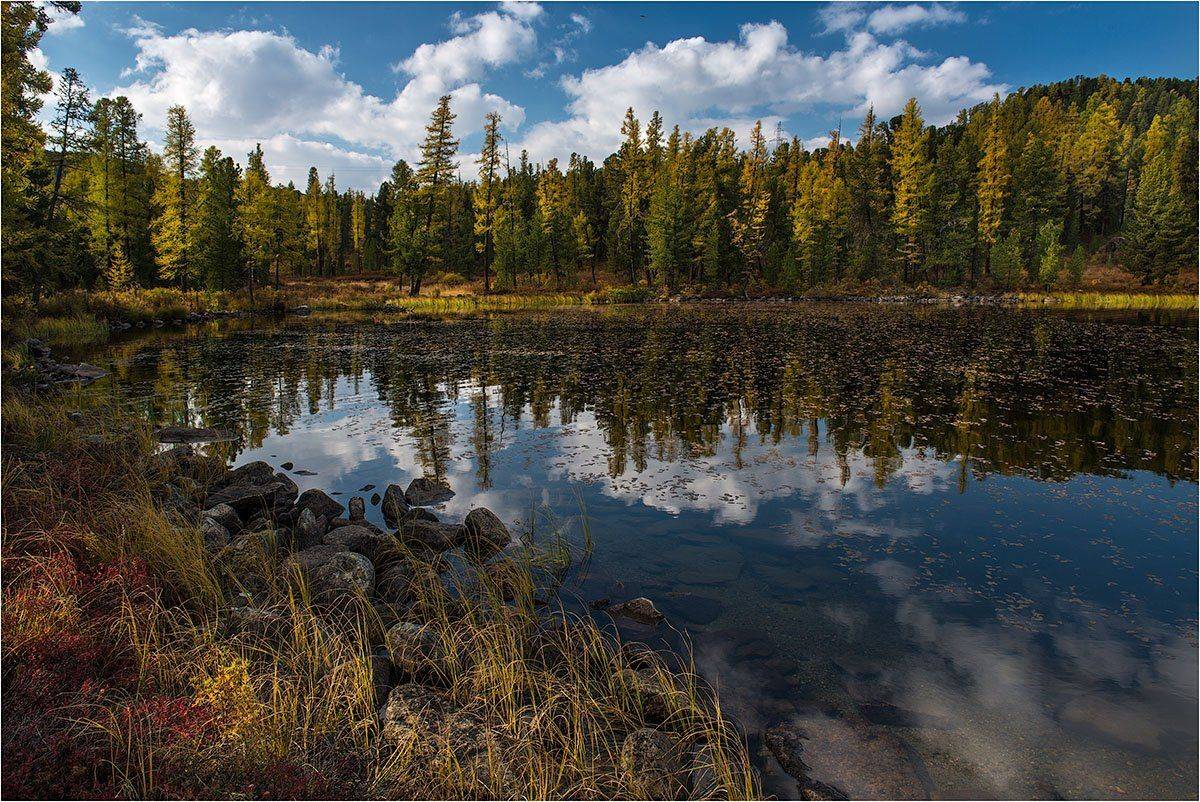 алтай., Кутыгин Эдуард