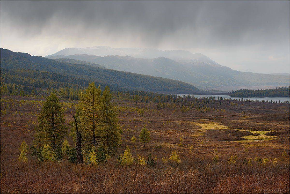 , Кутыгин Эдуард