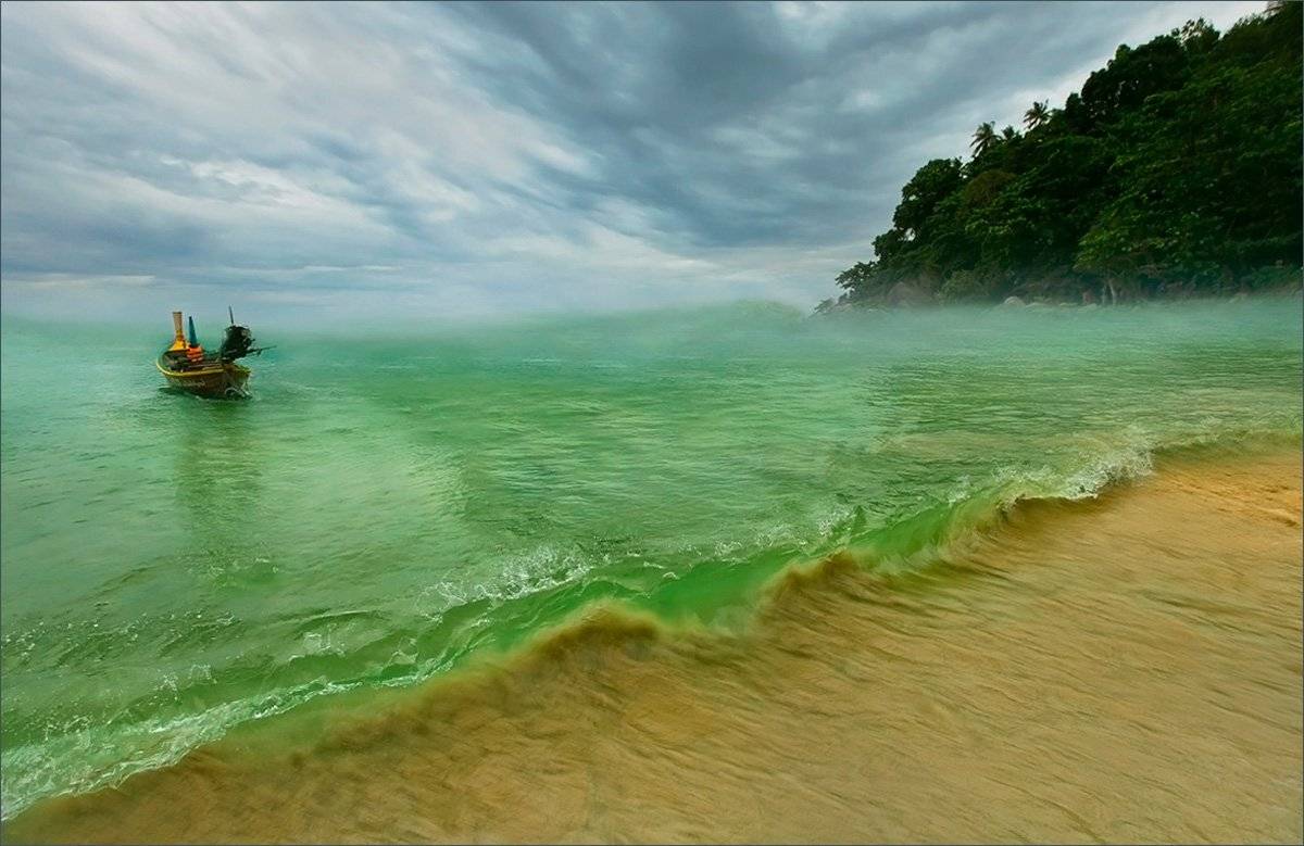 , Александр Гусаков