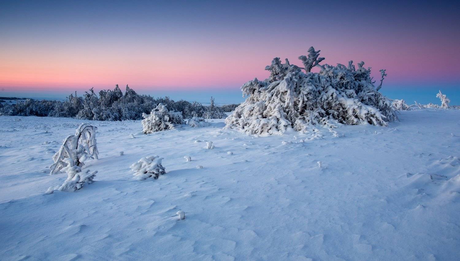 , Станислав Савицкий