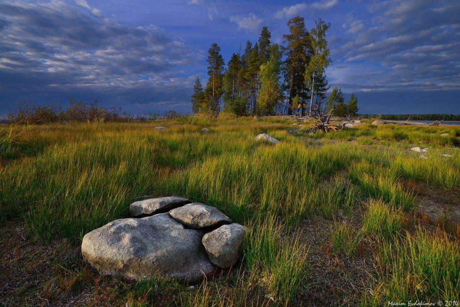 Сегозерье, Максим Евдокимов