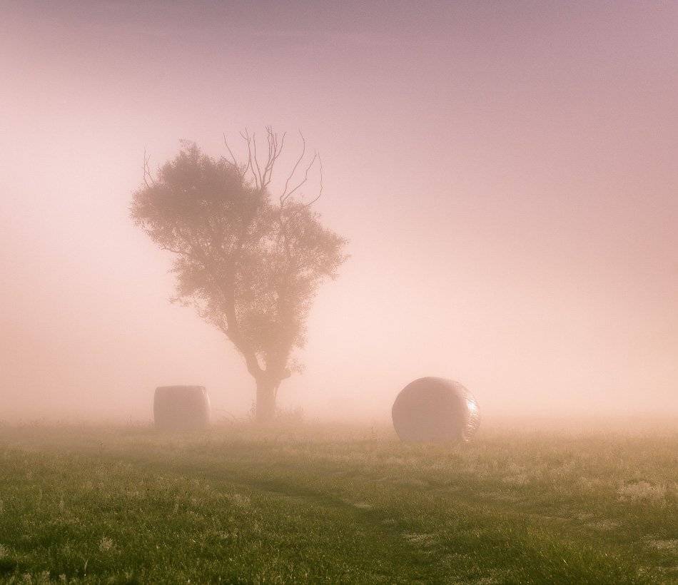 , Вейзе Максим