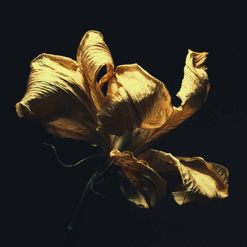 GOLDEN