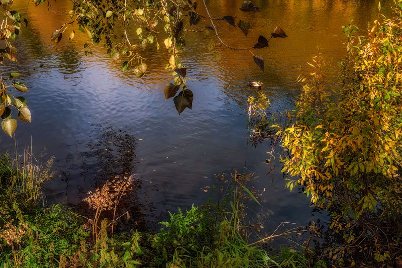 На речке Соломбалке фото превью