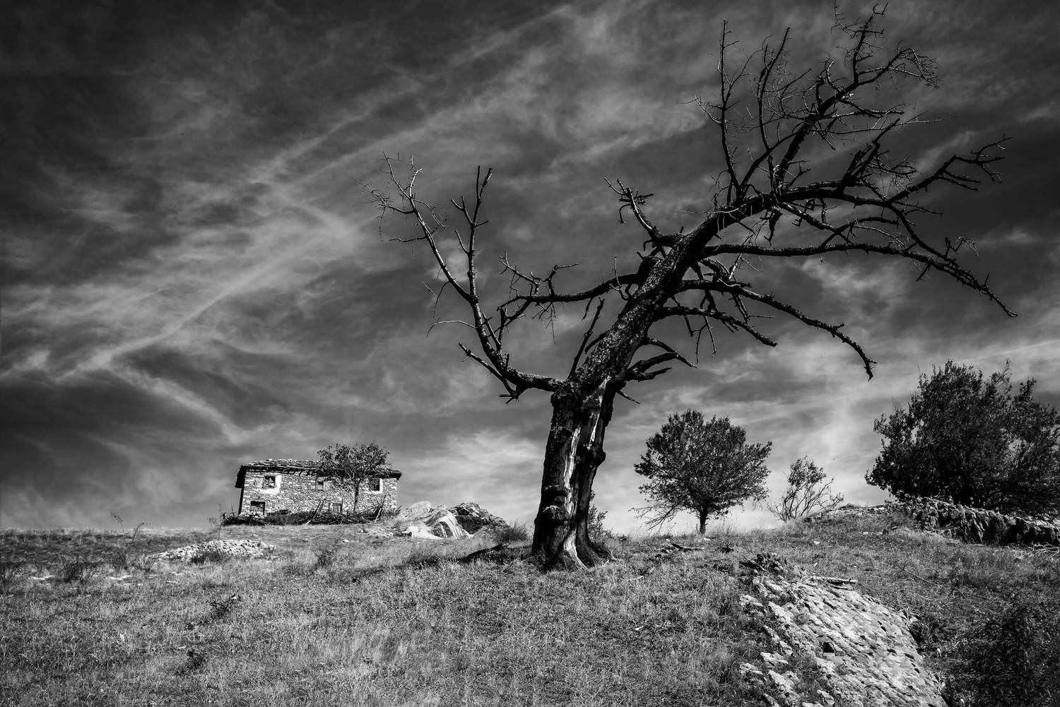 , Иван Георгиев