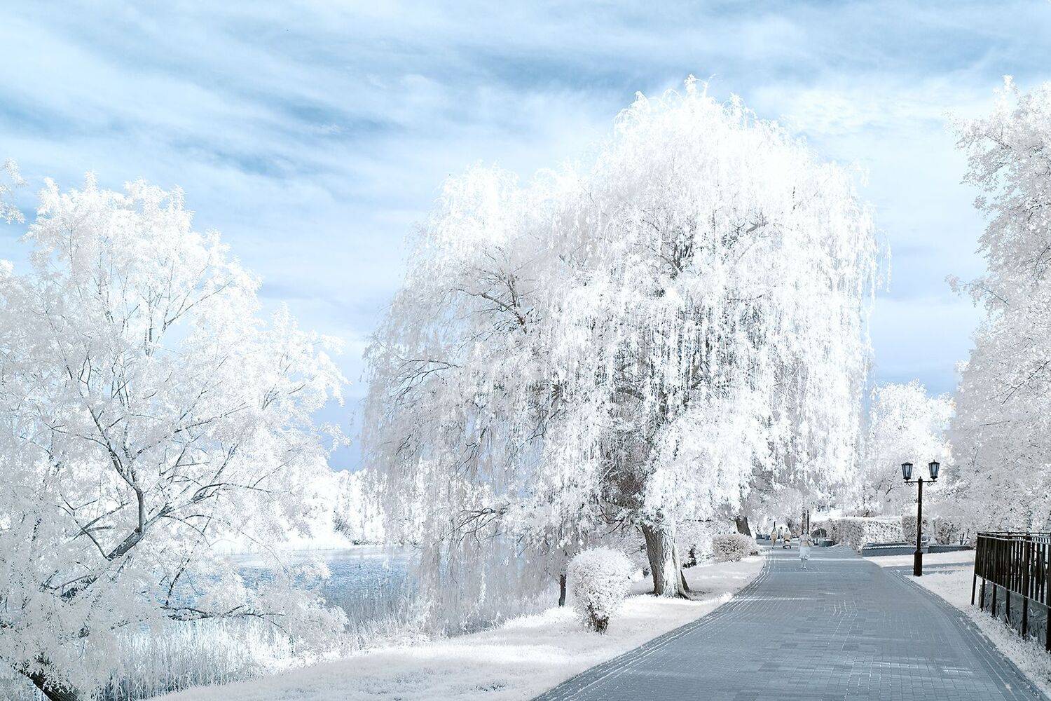 , Козенков Андрей