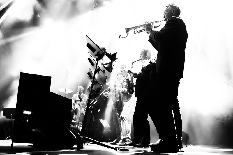 Jazz фото превью