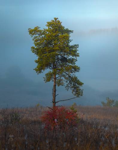 Время туманов