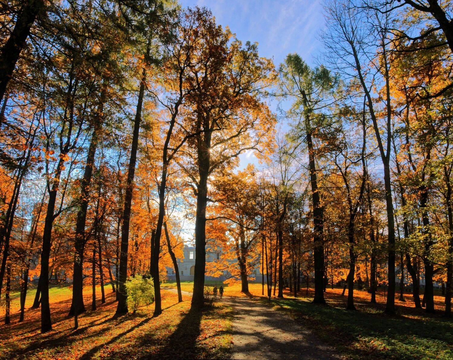 , Сергей Григорьев