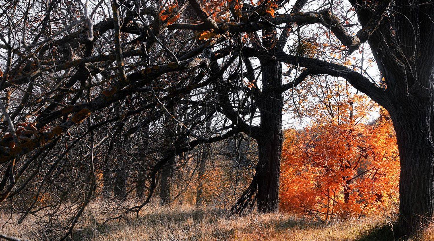 , Alexander Slepcowski