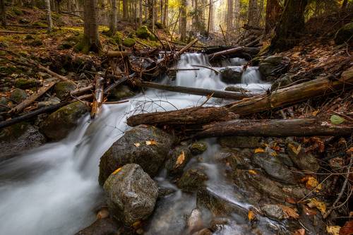 Осенняя р.Шумка ...