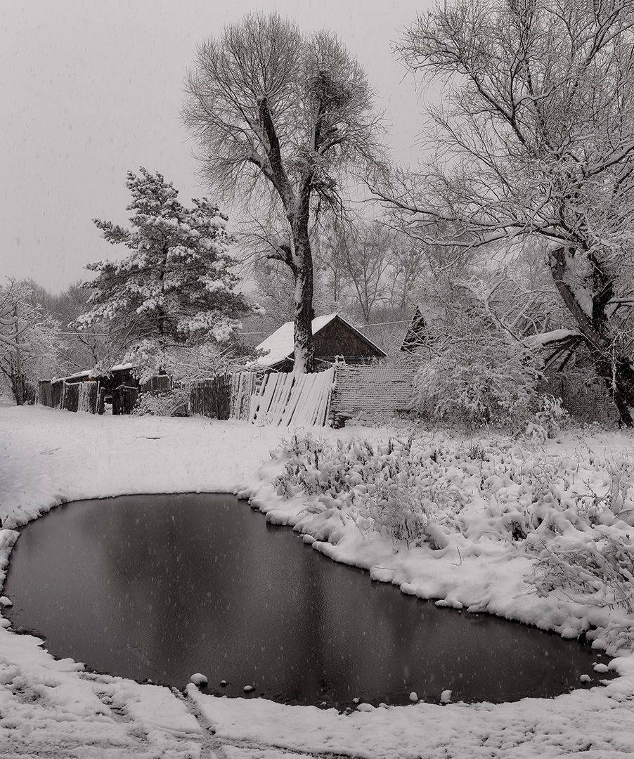 приморье, домик, деревня, снег, лужа, Евгений Паршуков