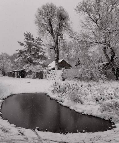 домик в деревне (B&W)
