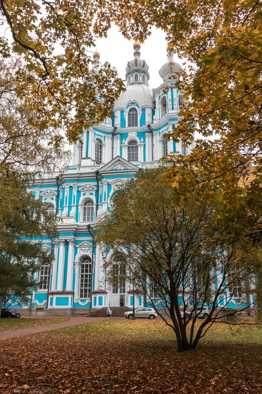Смольный собор осенью фото превью