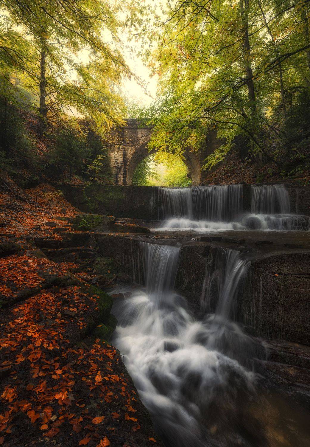 , Костадин Маджаров