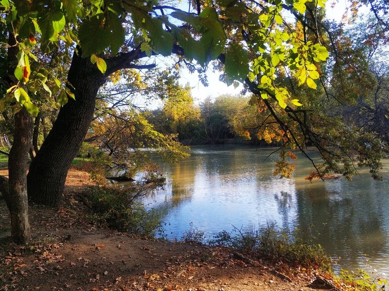 Осень на острове фото превью