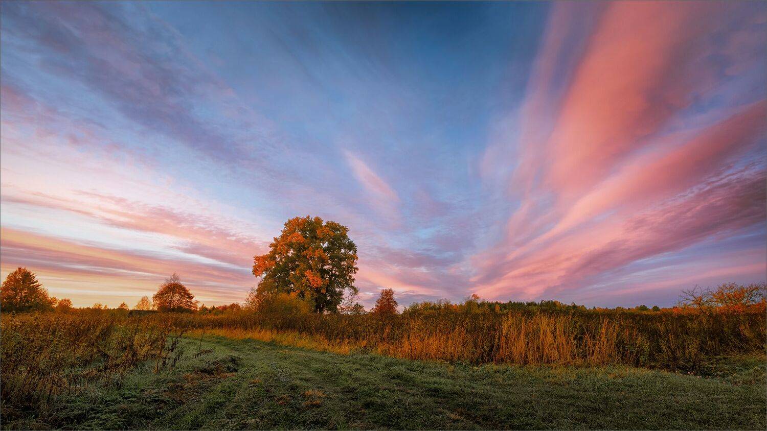 пейзаж, осень, вечер, свет, цвет, александр никитинский, Никитинский Александр