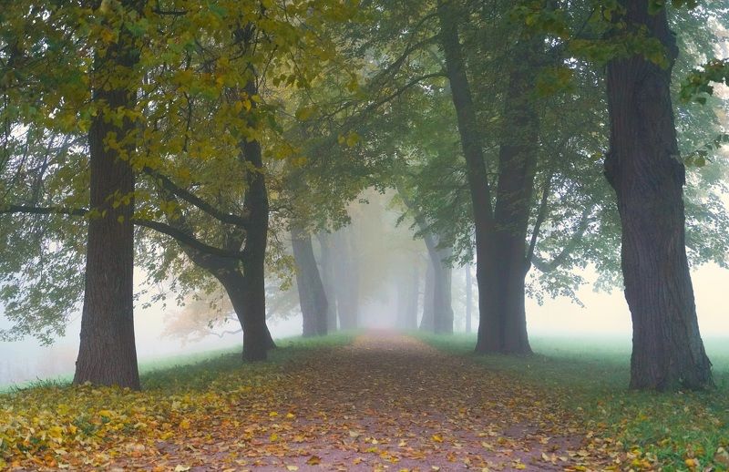 Autumn morning фото превью