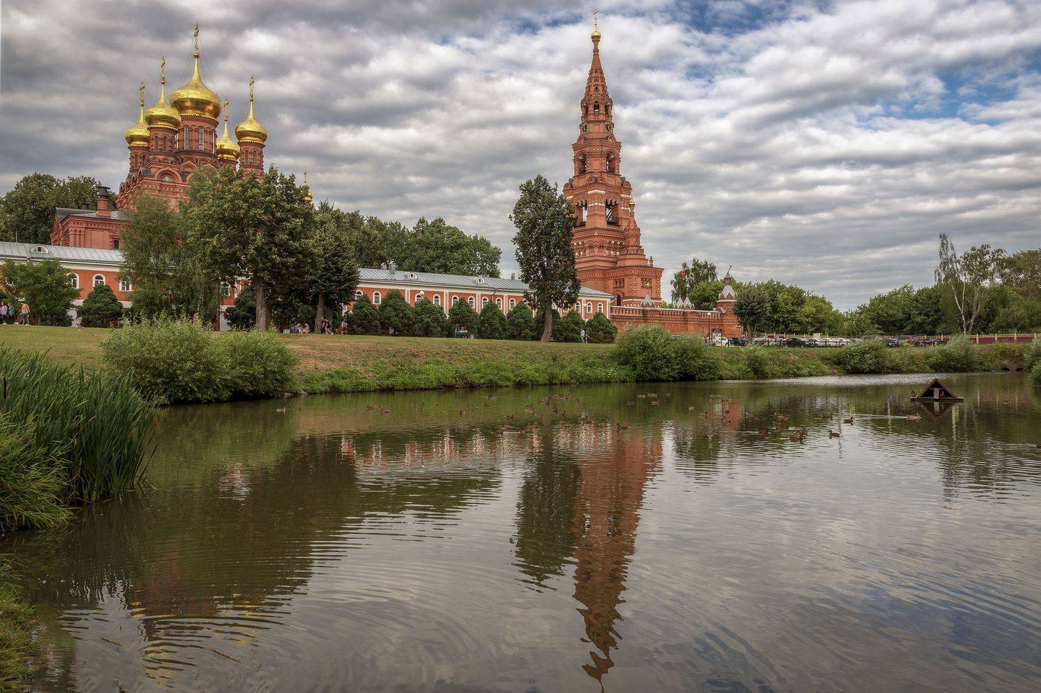 Московская область, Гусева Елена