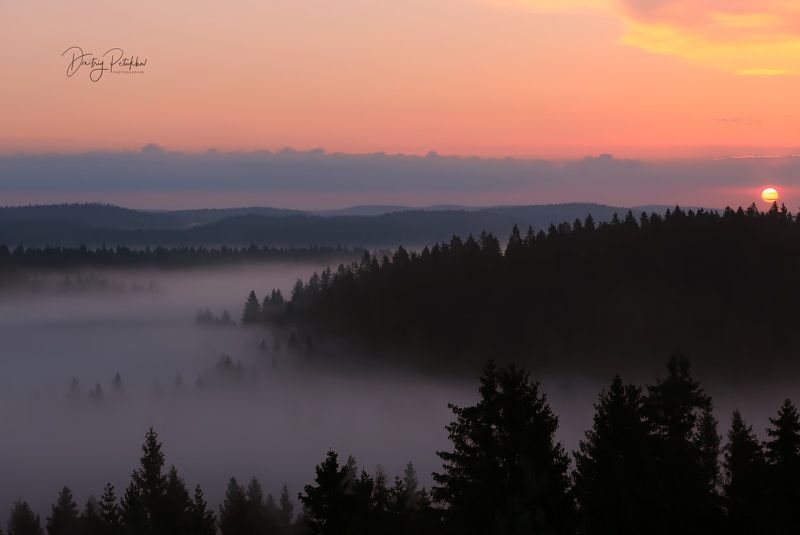 Туман фото превью