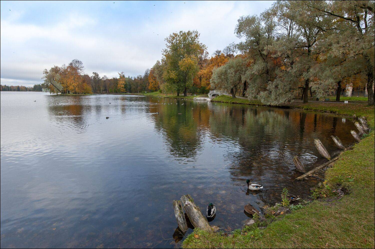 , Георгий Сапожников