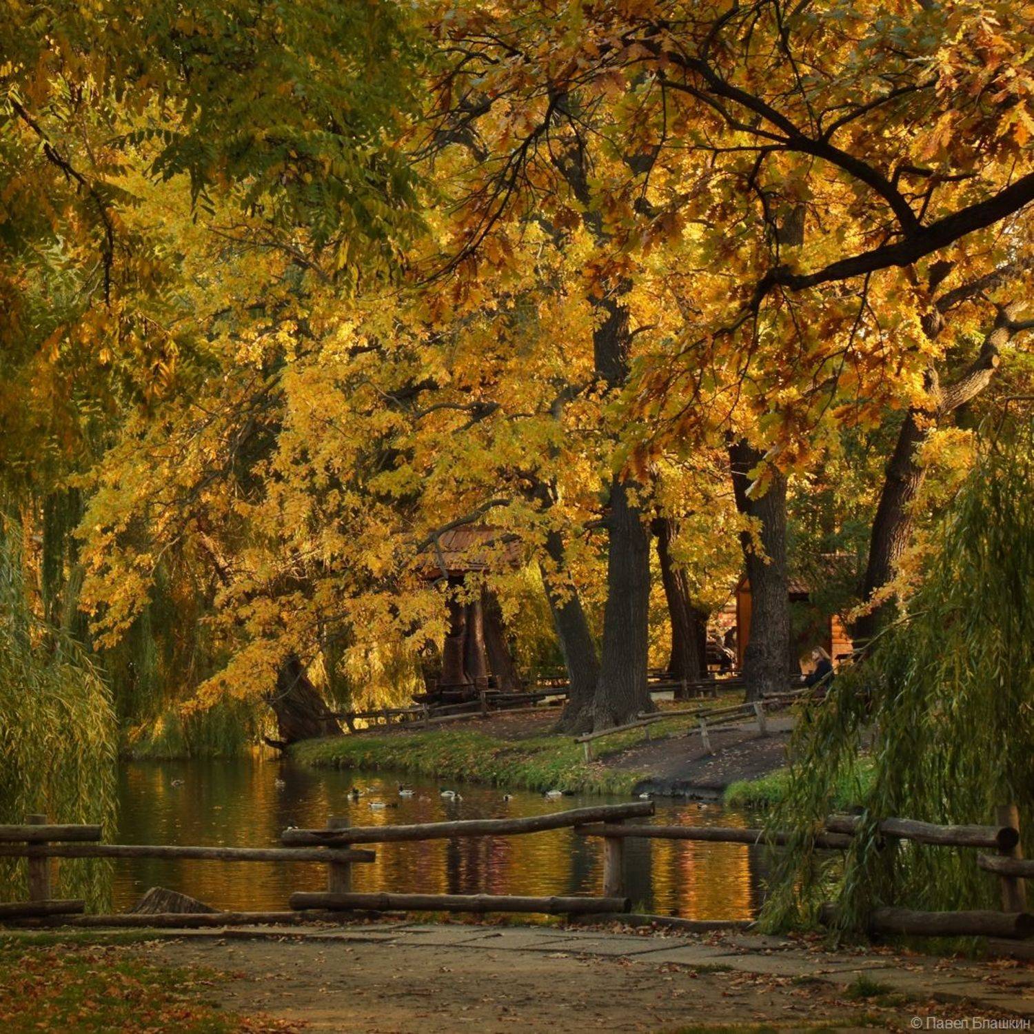 , Блашкин Павел