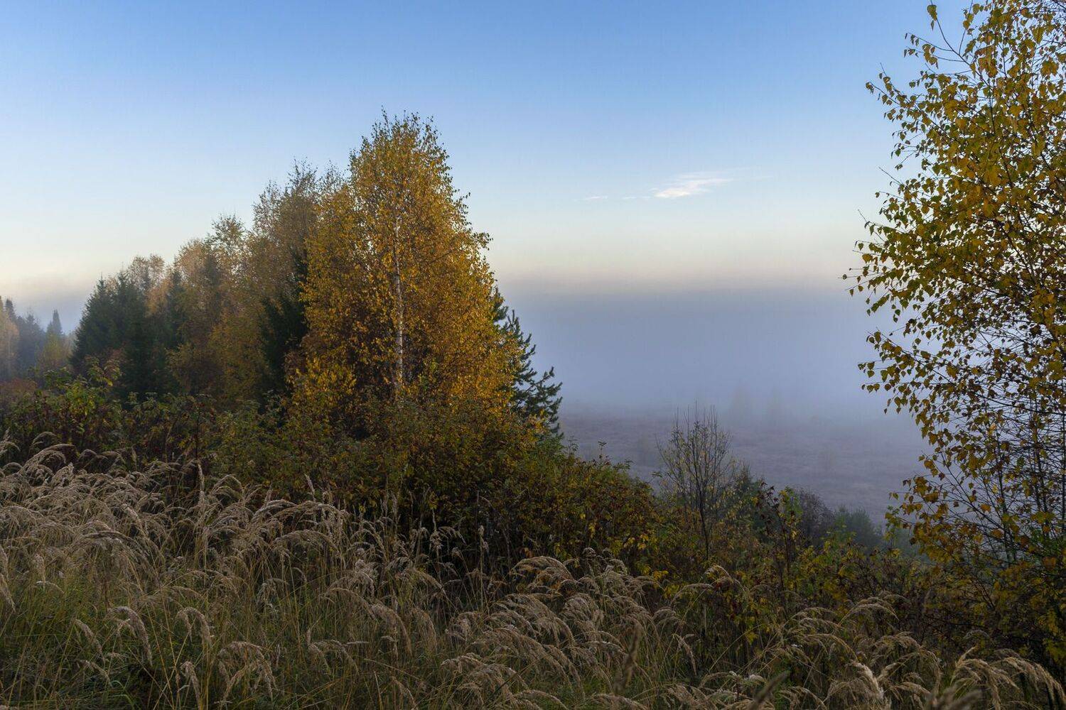 , Галина Луценко