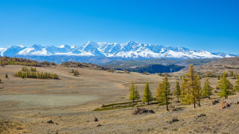 пейзаж, осень, горы, Горный Алтай  Осенние краски Горного Алтая  фото превью