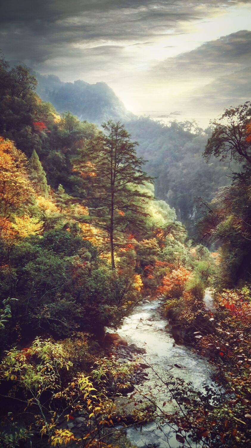 青山秋景, 吴 微雨墨烟鸿