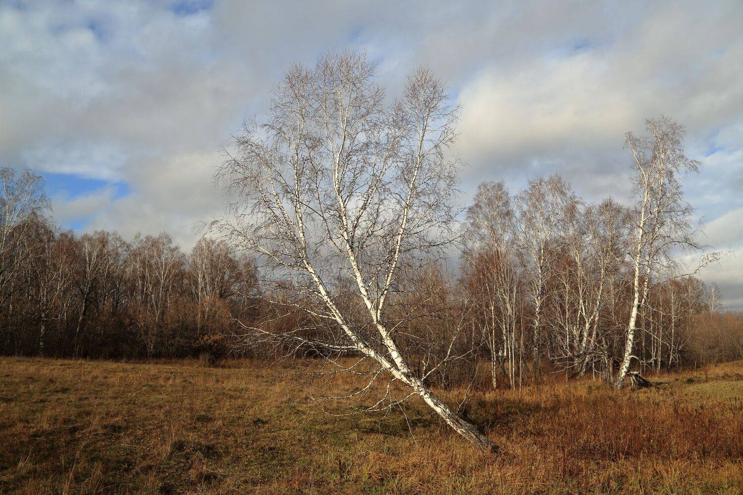 , Евгений Зинов