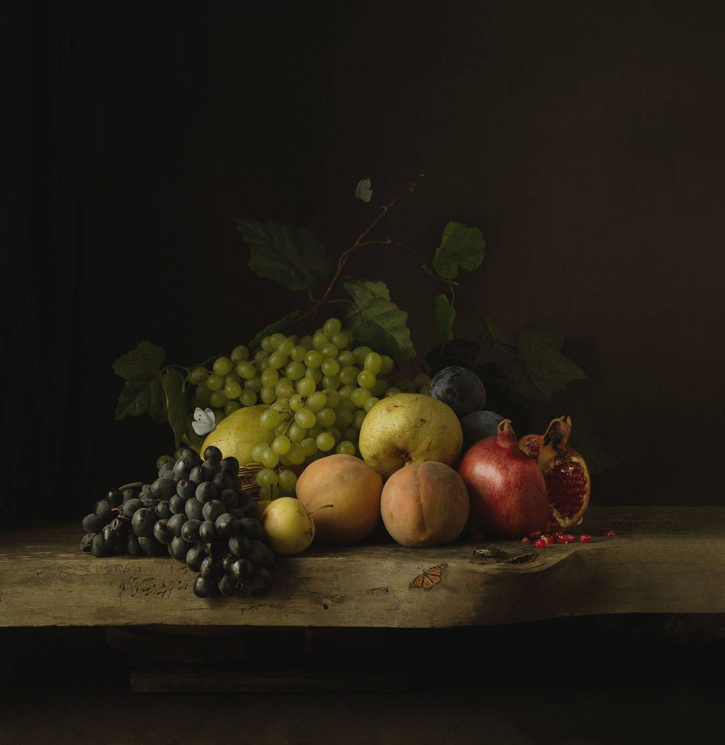 , Светлана Ерохина