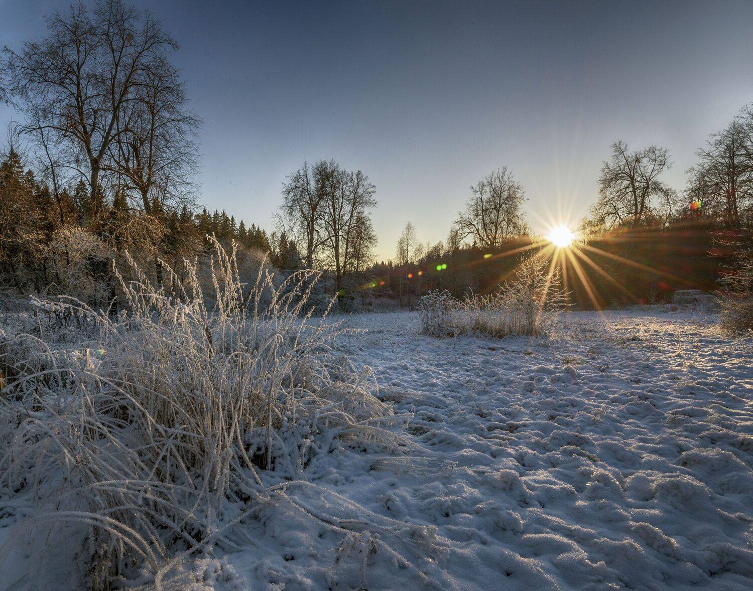 снег, солнце, лес, Сергей Аникин