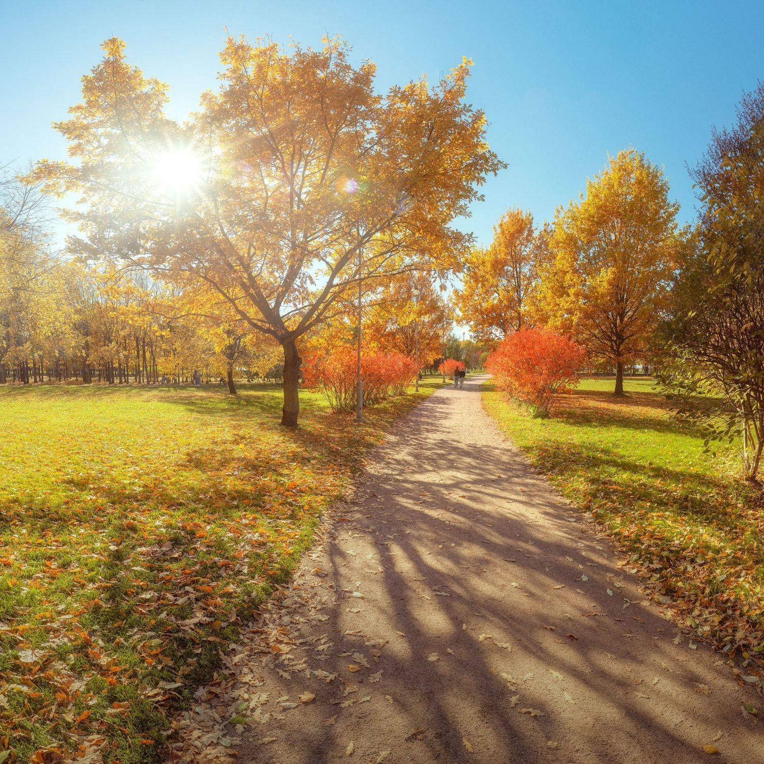 питер, санкт-петербург, осень, Андрей Кучеров