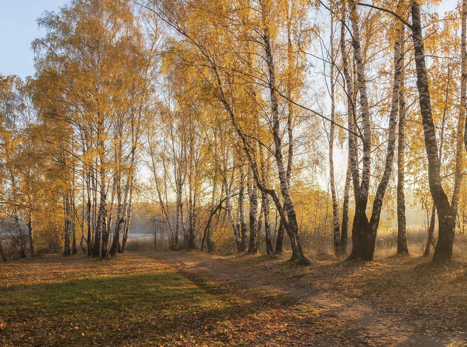 , Ольга Бонина