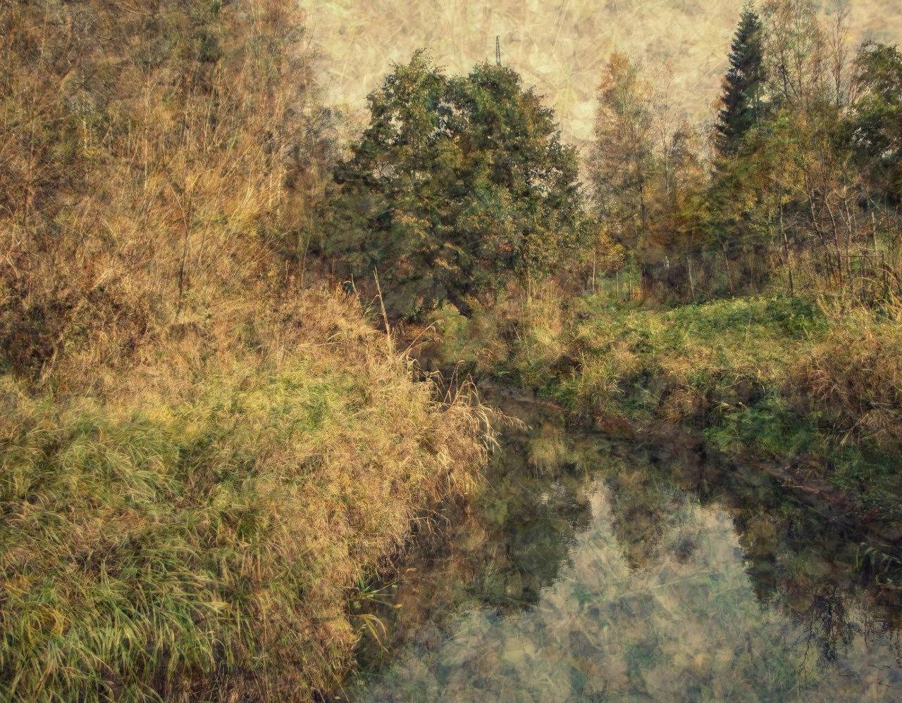 , Антон Лаба