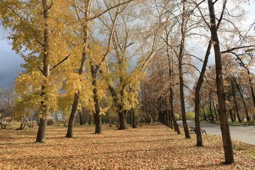 Парк Городское начало