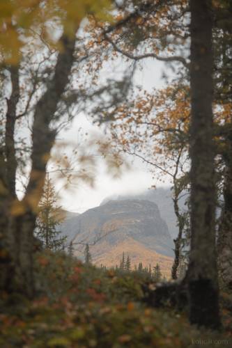 Задумчивый север. Ловозерские тундры.