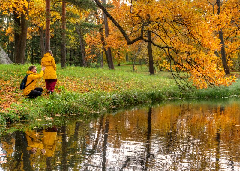 фото превью