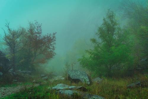 Осенний бег