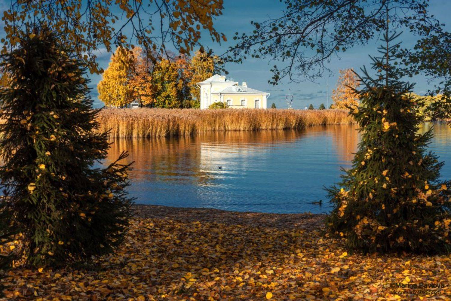город, архитектура, город петергоф, нижний парк, осень, осенний пейзаж, пейзаж, золотая осень, государственный музей заповедник \"петергоф\",музей императорские яхты, пригороды санкт - петербурга, nikon, Павлова Марина