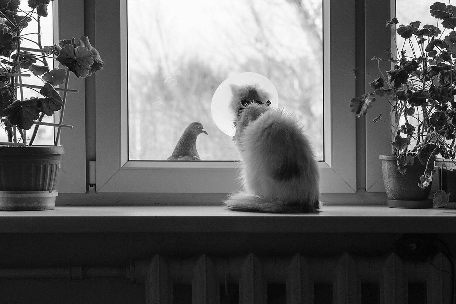 , Михаил Агеев