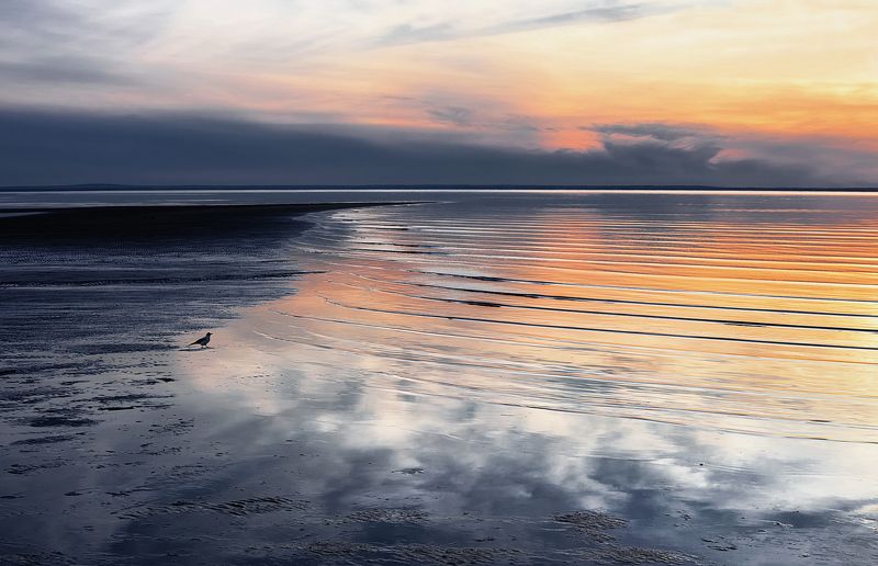 Прощаясь с закатом... фото превью
