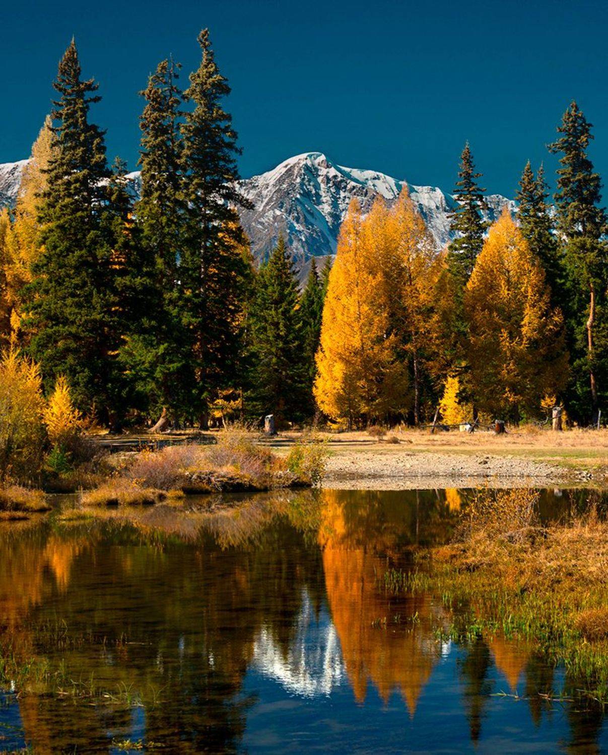 , Алексей Родак