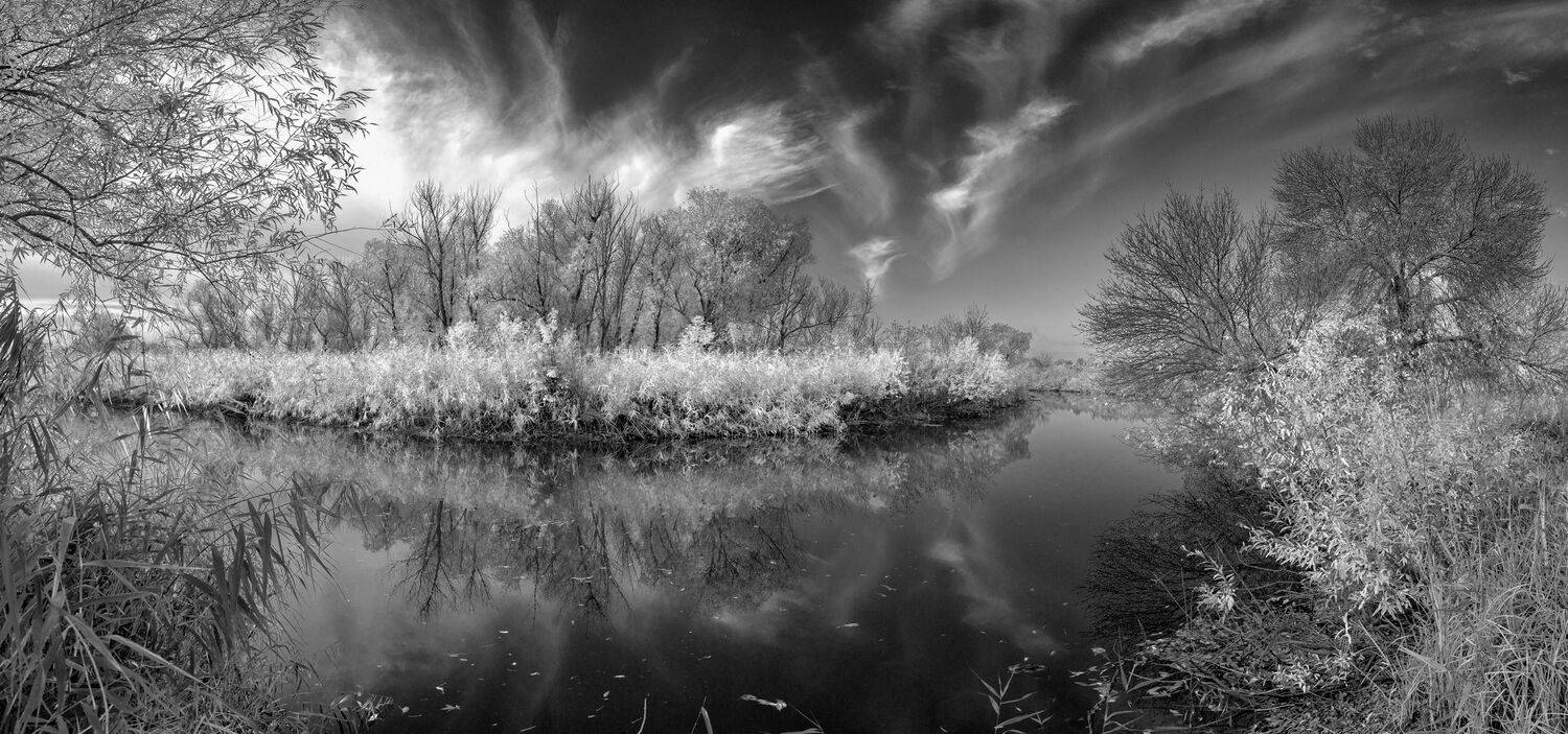 ч/б, панорама, осень, пейзаж, b&w, Максим Подосинников