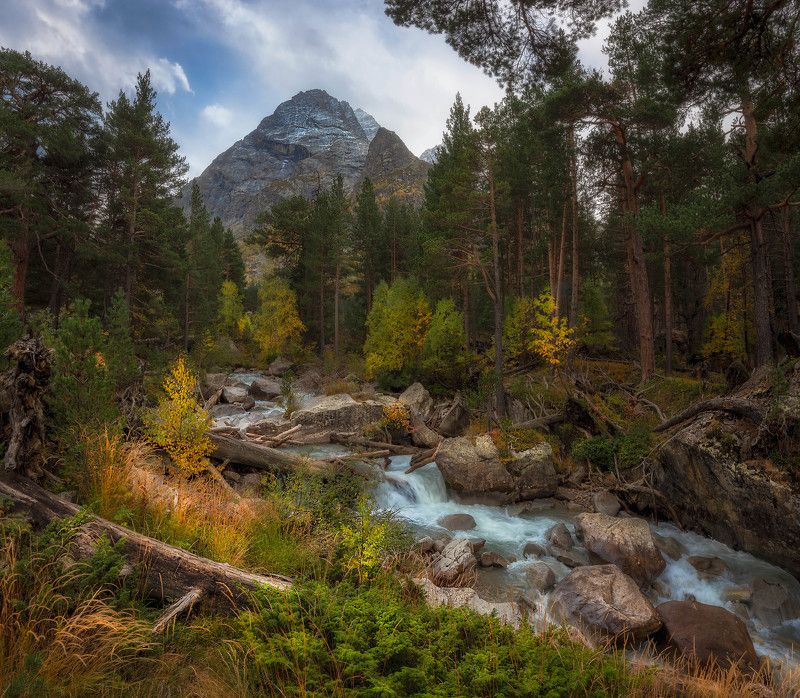 вода, горы, облака, река, кчр, лес Золотая осень Карачаево-Черкесии фото превью