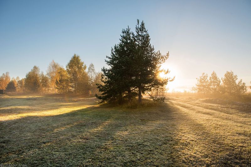 утро в деревне фото превью
