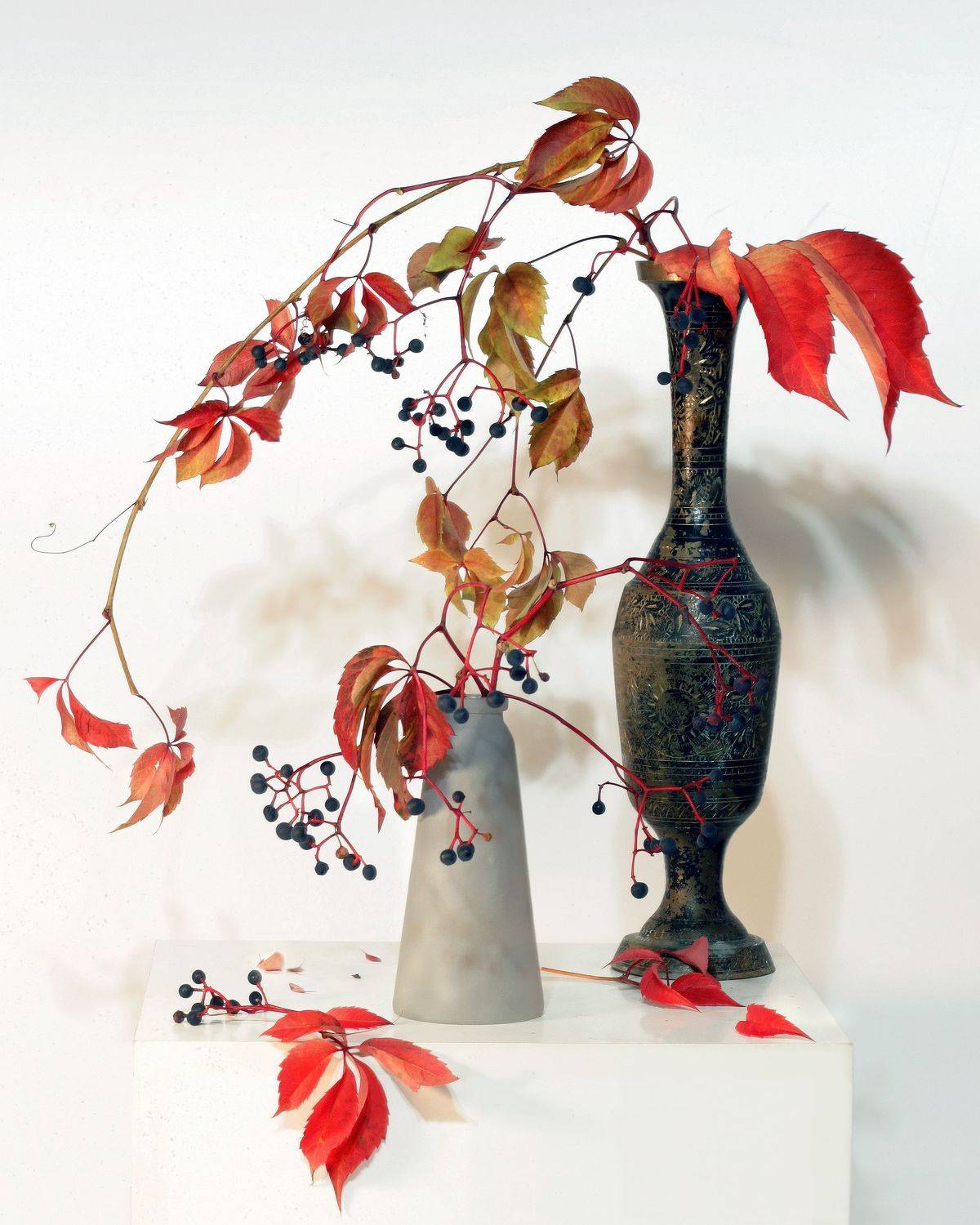 , Ольга Заболотская